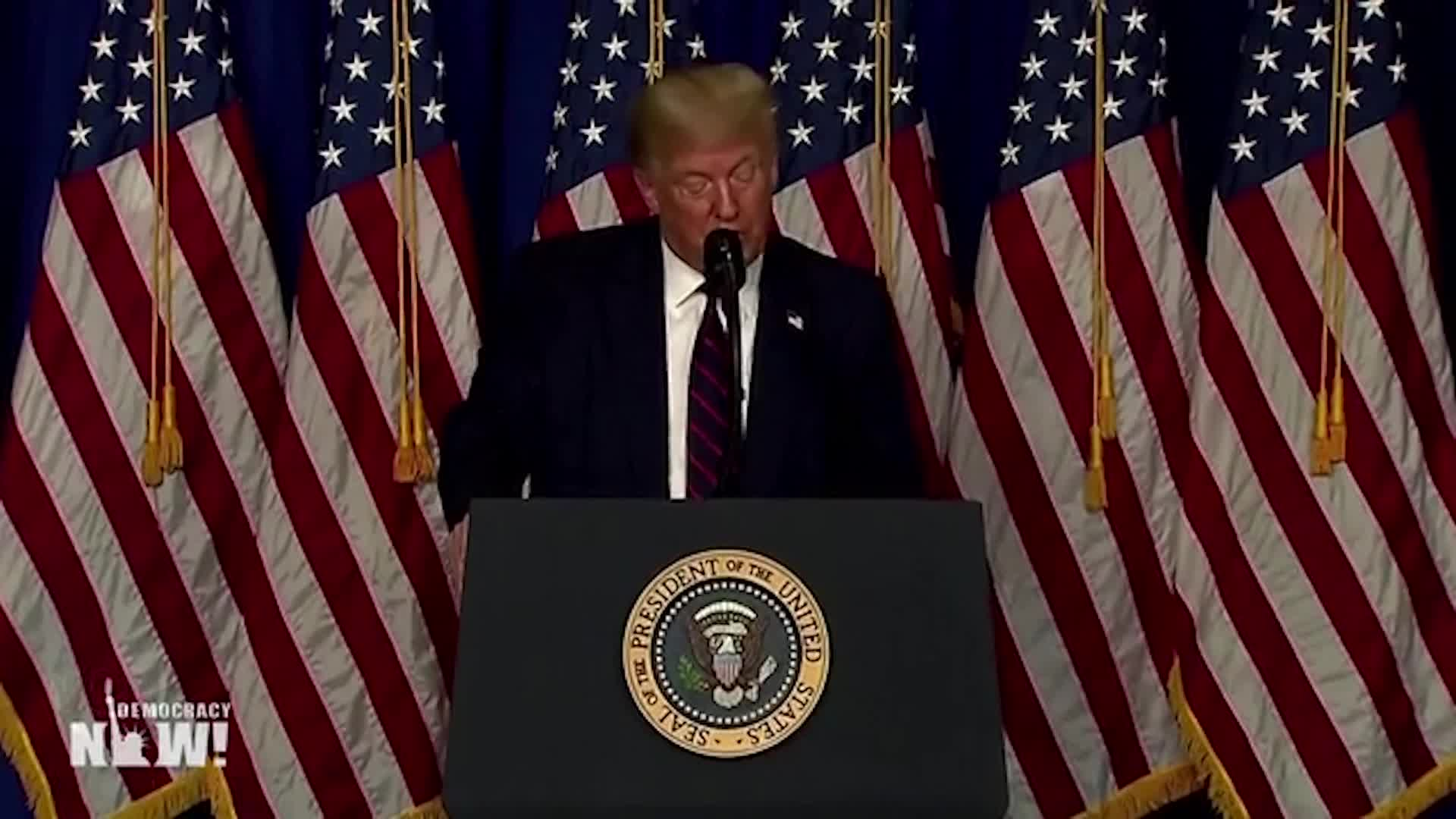 Democracy Now July 28