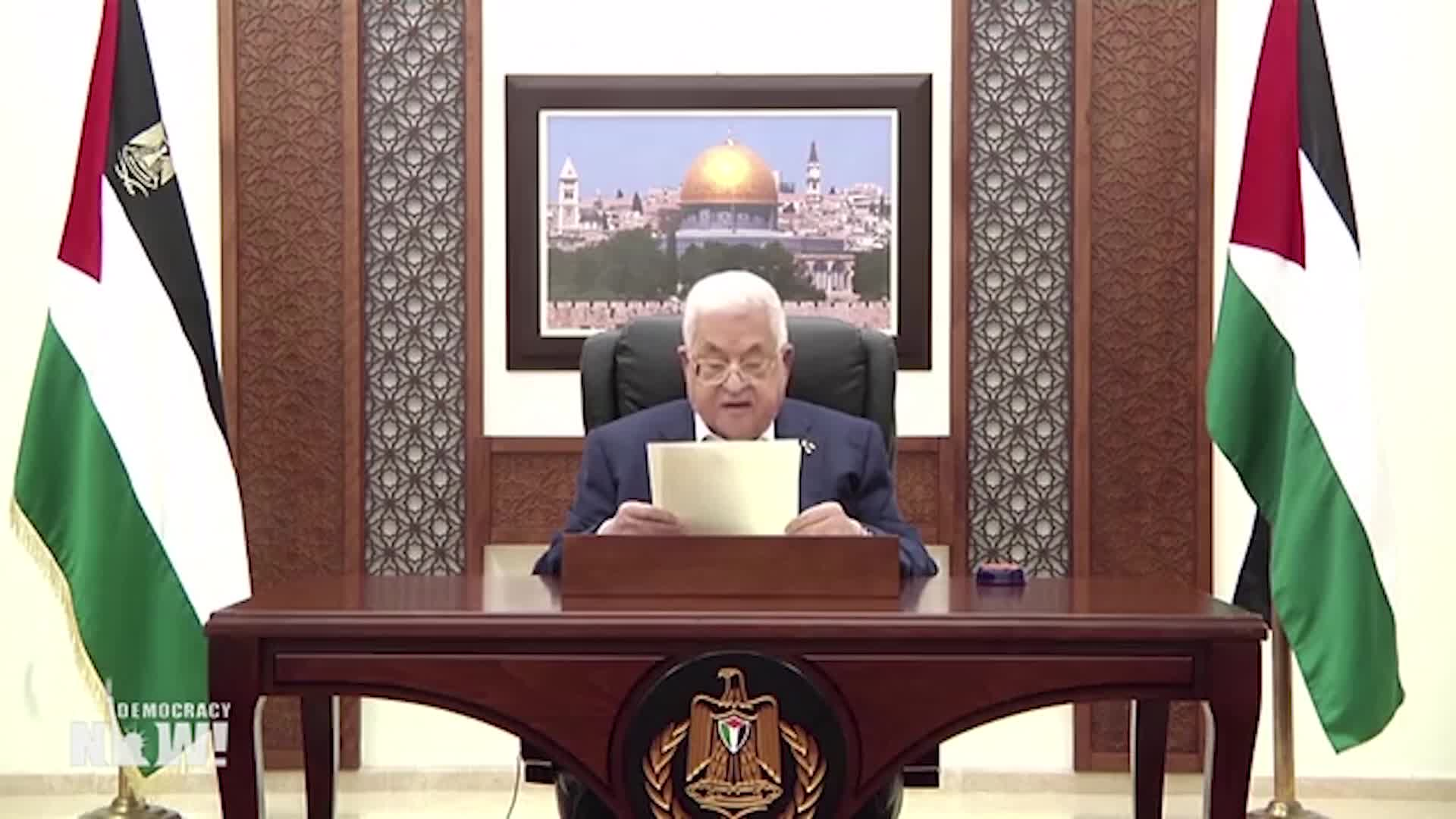 Democracy Now November 20